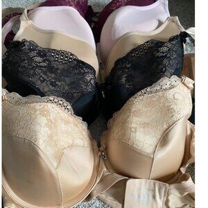 Curvy Couture Bras